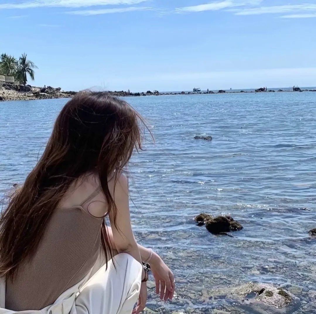 夏洛特的网2：韦伯历险记